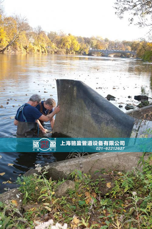 重庆市沙坪坝区骆盈法兰式鸭嘴阀在国外项目中的使用