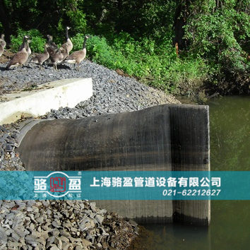 直嘴<a href=http://yiantimesjz.com target=_blank class=infotextkey>橡胶止回阀</a>运行现场